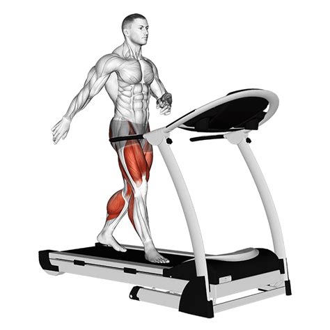 what exercises are similar to the tredmill